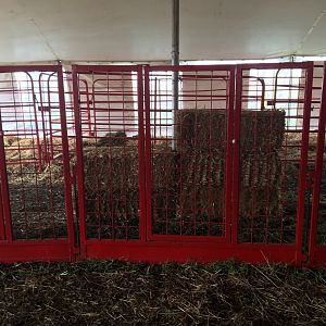 Didier Farms - Camel Holding