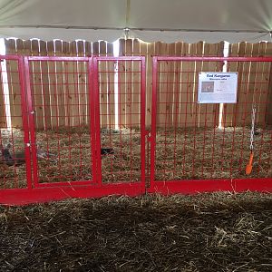 Didier Farms - Red Kangaroo Pen
