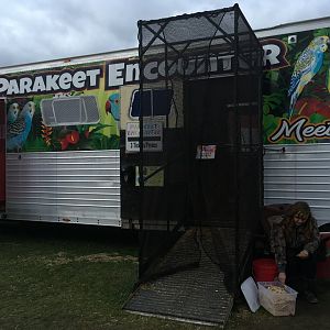 Didier Farms - Parakeet Encounter