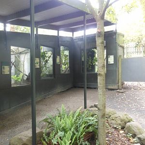 Native reptile exhibits