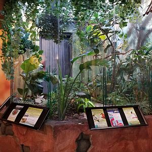 Oct. 2017 - Mahler Family Aviary - Jewel Box Exhibit