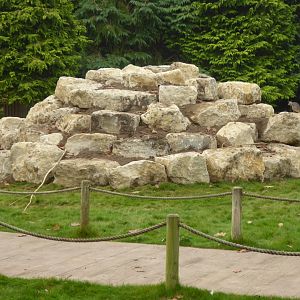 Yellow-footed Rock Wallaby area, 16th October 2017