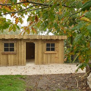 Yellow-footed Rock Wallaby shelter, 16th October 2017