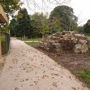 Yellow-footed Rock Wallaby area, 16th October 2017
