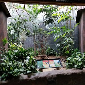 Oct. 2017 - Mahler Family Aviary - Spangled Cotinga, Blacksmith Plover, Cape Thicknee Exhibit