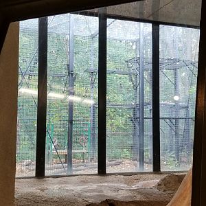 Oct. 2017 - Primates of the World - Outdoor Mandrill Exhibit