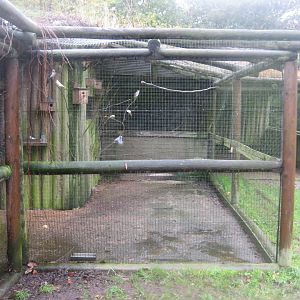 Balling Bypark - Aviary