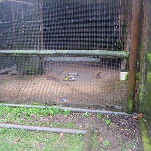 Balling Bypark - Aviary