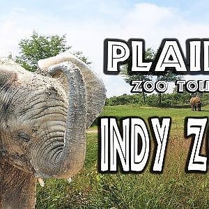 Video Walkthrough of the Plains