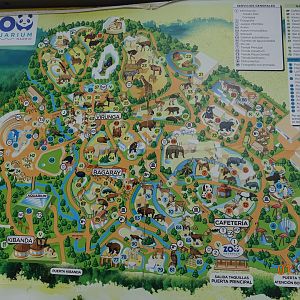 Zoo Aquarium de Madrid 1.10.17