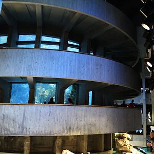 Giant Ocean Tank - Oct 2017