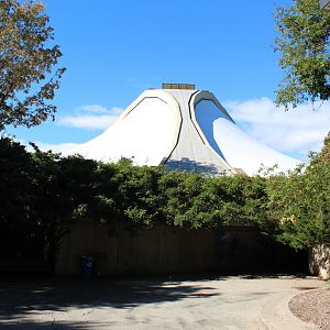 Tropical Forest House