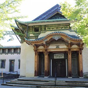 Birds World - Oct 2017