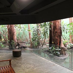 Swamp Enclosure, Birds World - Oct 2017