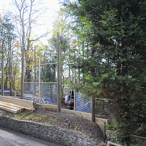 Snow leopard extension under construction