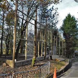 Snow leopard extension under construction