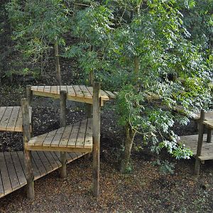 New tiger climbing frame