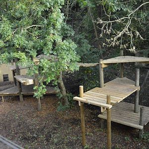 New tiger climbing frame