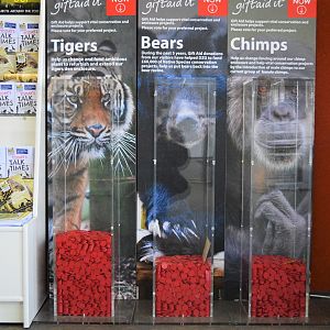 The tigers are running away with it.