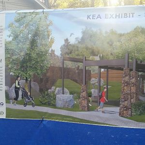 Kea Exhibit Concept Art