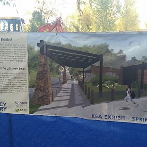Kea Exhibit Concept Art