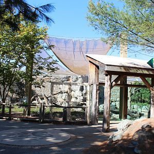 American Black Bear Enclosure - Oct 2017