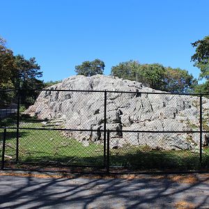 Markhor Enclosure - Oct 2017