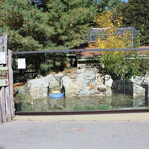 North American River Otter Enclosure - Oct 2017