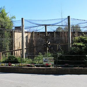 Black & White Colobus Enclosure - Oct 2017