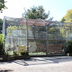 White-cheeked Gibbon Enclosure - Oct 2017