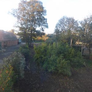 Former Tiger/Sun Bear enclosure now demolished