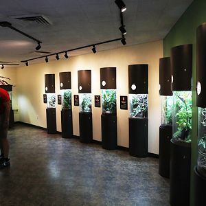 insect house (childrens zoo)