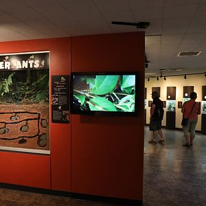 insect house (childrens zoo)