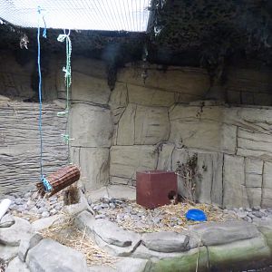 American Mink Enclosure