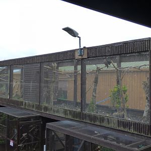 Aviaries in 'The Castle Zoo'