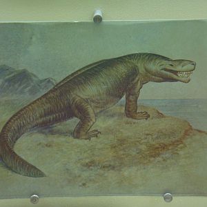 Inostrancevia reconstruction