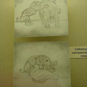 Saber-toothed cat hunting methods