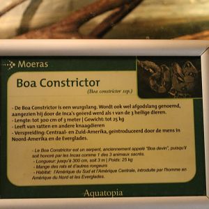 Sign Boa constrictor