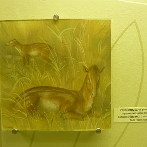 Isectolophus sp. reconstruction