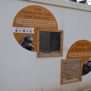 Windows into construction of new Chimpanzee complex