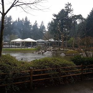 Lake with Japanese macaque-island