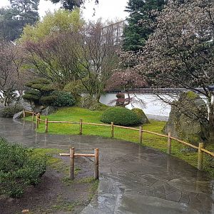 Japanese Garden