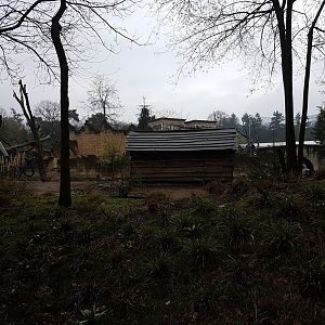 Part Barbary sheep - Hamadryas baboon enclosure