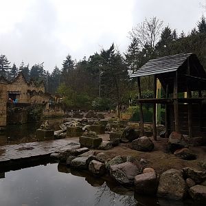 Barbary sheep - Hamadryas baboon enclosure
