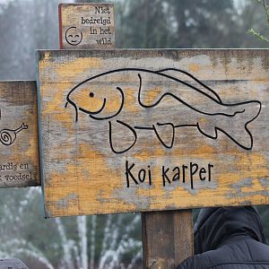 Sign Koi-carp