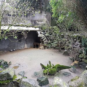 Raccoon-dog enclosure