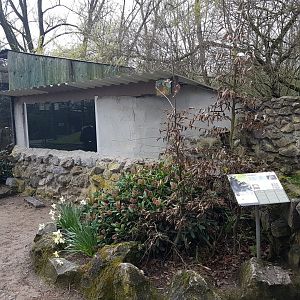 Indoor Raccoon-enclosure