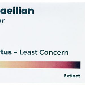 How many mistakes can you spot?