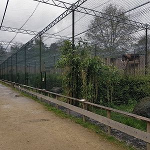 Bird of prey aviaries