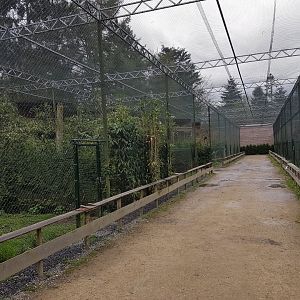 Bird of prey aviaries